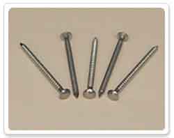 Oval Head Ring Shank Stainless Steel Nail
